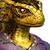 Iksar